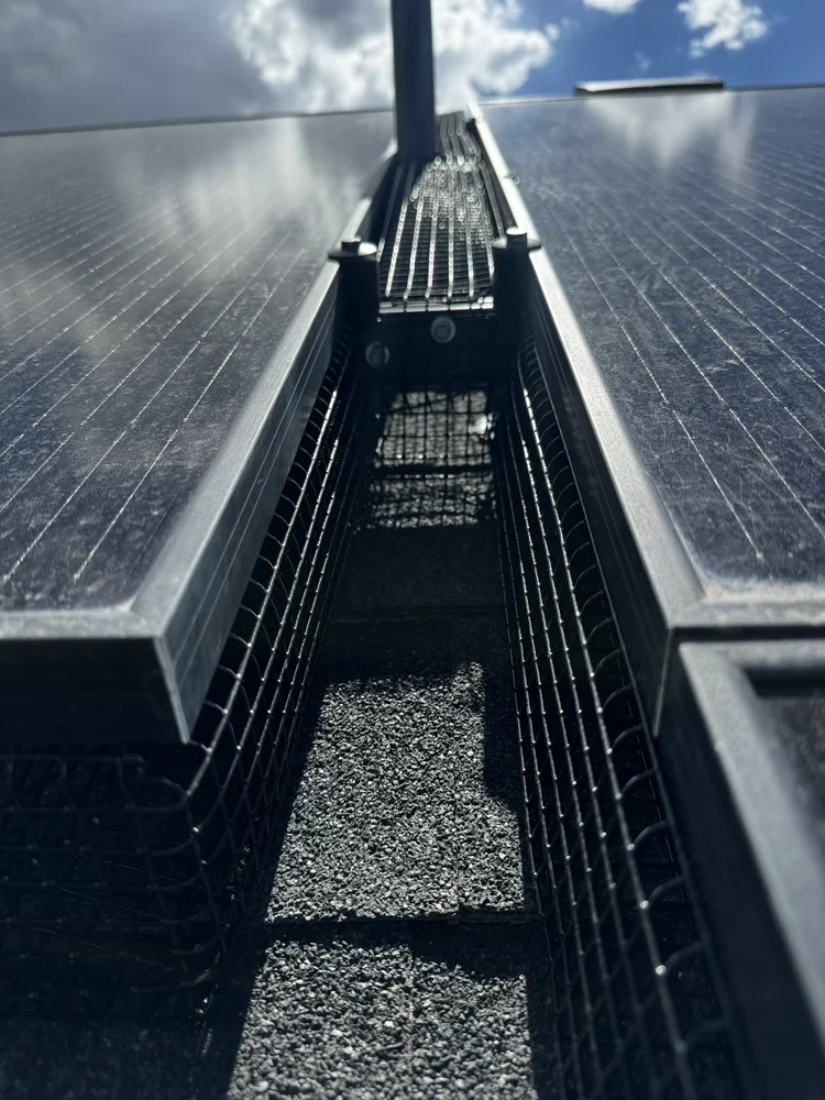 Close-up of bird-proofing mesh on solar panel frame
