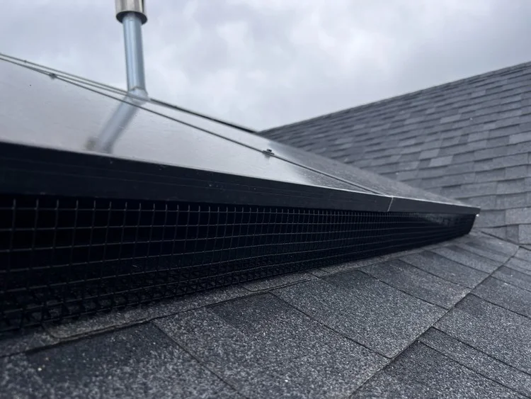 Critter guard mesh installed on residential solar panels